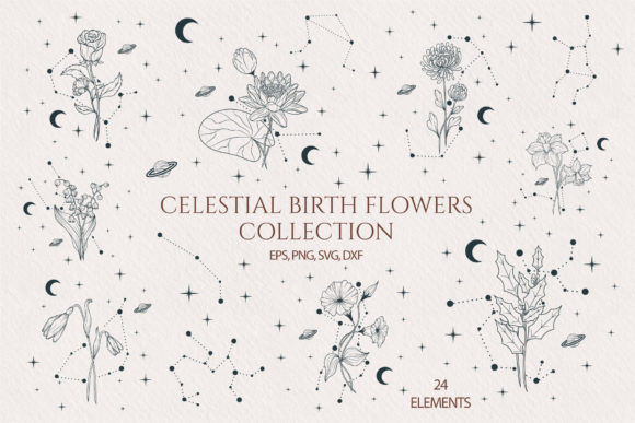 Download Hand Drawn Celestial Birth Month Flowers - Hand Collection